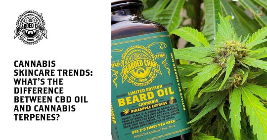 cbd oil and cannabis terpenes