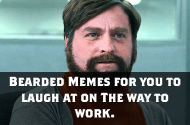 Bearded Memes for you to laugh at on the way to work.